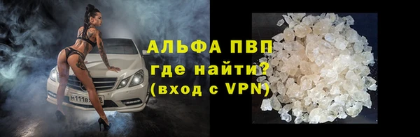 стафф Володарск