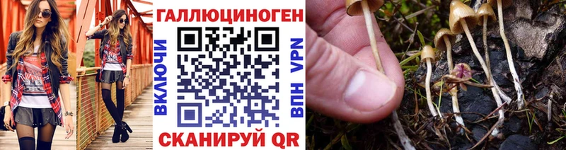 Купить  Салехард  Псилоцибиновые грибы GOLDEN TEACHER 